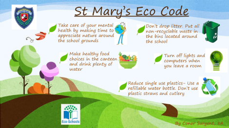 St Mary's Grammar School, Magherafelt - St. Mary's Eco Code